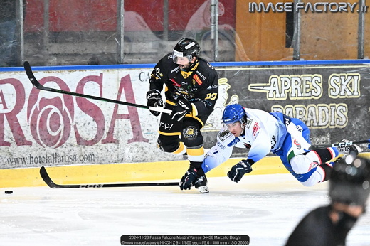 2024-11-23 Fassa Falcons-Mastini Varese 04438 Marcello Borghi